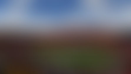 Robert Griffin III: The Rookie Sensation