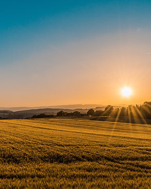 The standard farm /agribusiness insurance policy is a hybrid of homeowners coverage, commercial business insurance and specialty insurance.