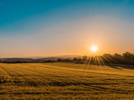 Il campo aperto del Sé