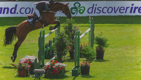 Horse showjumping