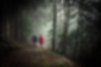 Image by Sebastian Pichler