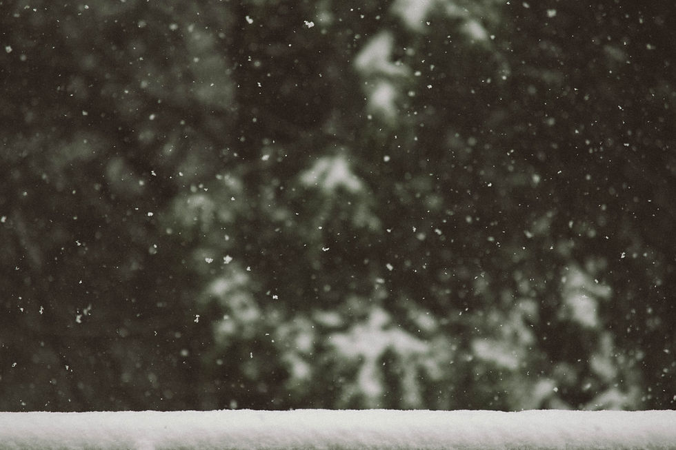 Christmas at The Wildes (Day 2)