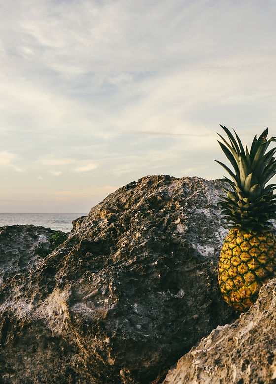 Image by Pineapple Supply Co.