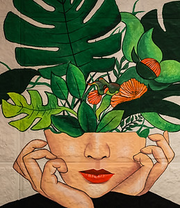 Image by Ashkan Forouzani
