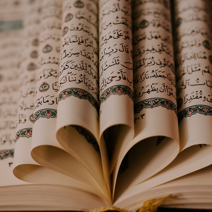 Image by Ashkan Forouzani