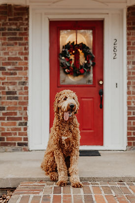 Image by Brooke Cagle