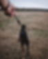 Image by Jordon Conner