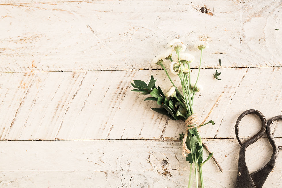 Image by Brooke Lark