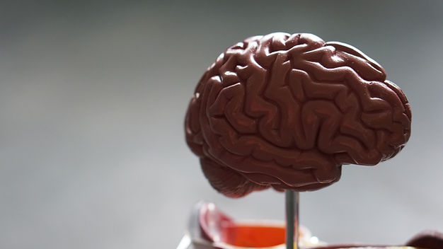 Bilan psychologique adulte