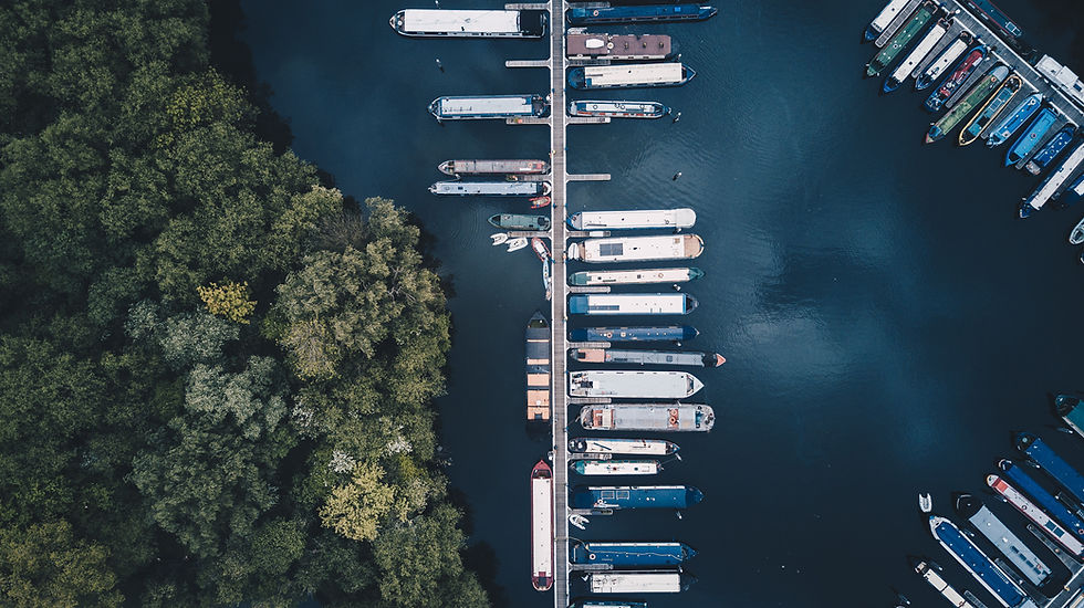Image by Nigel Tadyanehondo