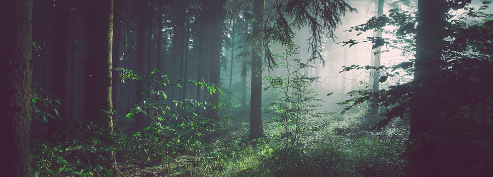 Image by Sebastian Unrau