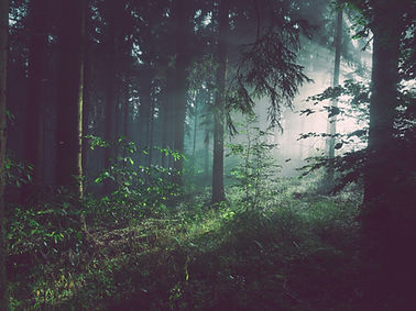 Image de Sebastian Unrau