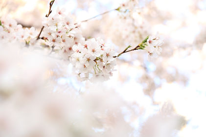 Image by kazuend