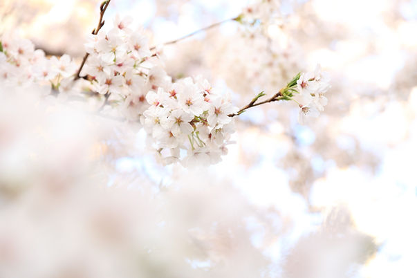 Image by kazuend
