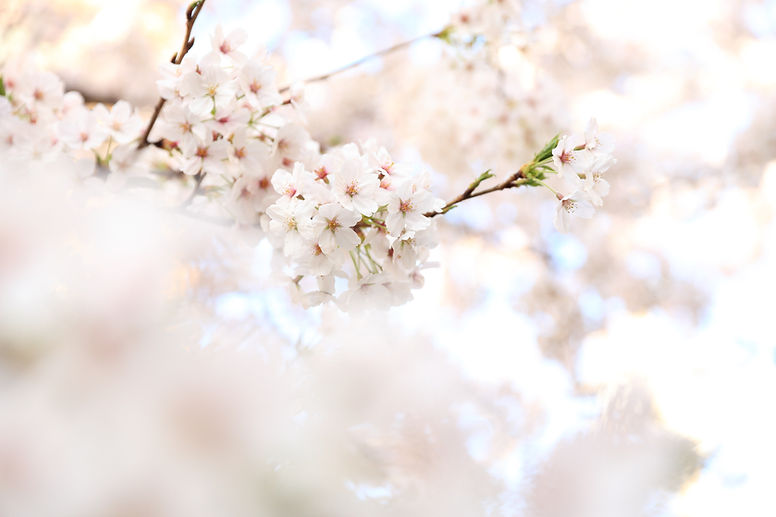 Image by kazuend