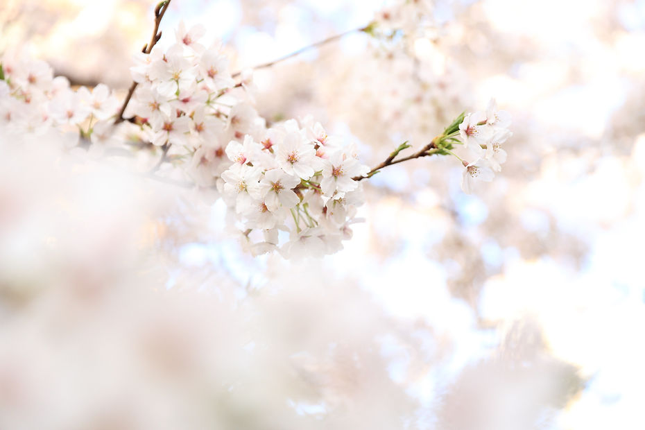 Image by kazuend