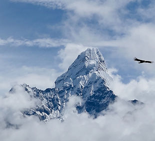 Image by Ben Lowe