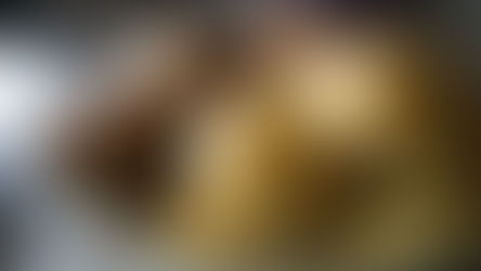 Gluteni i grurit nxit obezitetin
