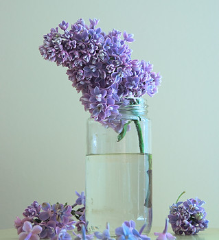 Image by Photerrestrial