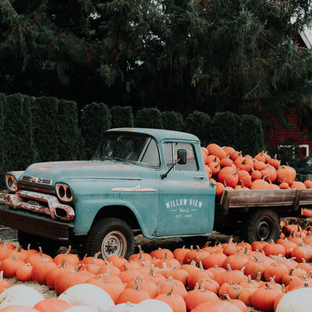 What Is The Method Of Transporting Pumpkins?