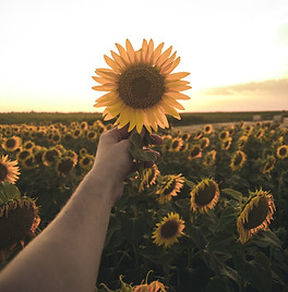 Image by Milan Popovic