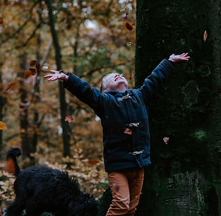 Image by Sander Weeteling