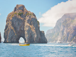 Nasce l'Area Marina Protetta dell'Isola di Capri
