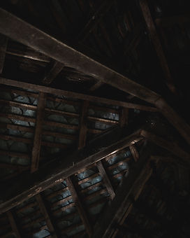 Image by Jack Stapleton