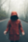 Image by Blake Lisk