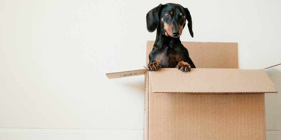 We're Moving!
