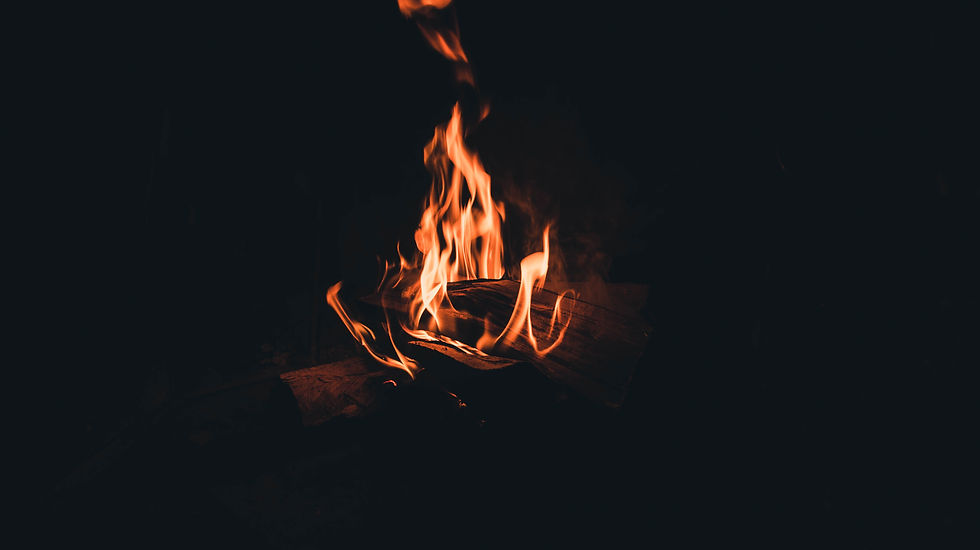 Image by alexander ehrenhöfer
