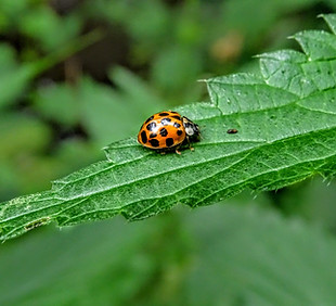 Image by Neringa Hünnefeld