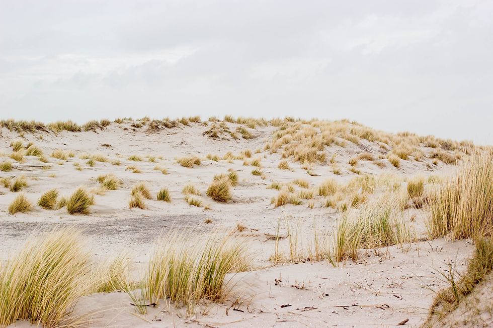 Image by Visual Stories || Micheile
