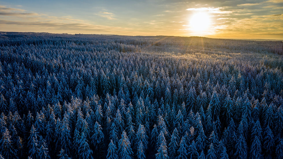 celebrate the truth of December 25th