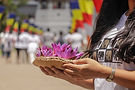 Image by Naduni Ranasinghe