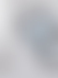 How Company X Boosted Sales by 50% Through an Innovative Instagram Campaign