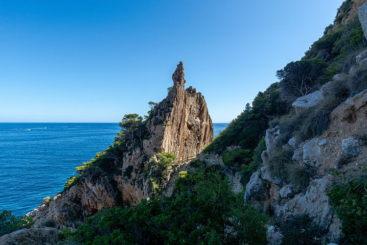 Image by Eduardo Kenji Amorim