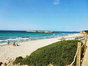 I'm on a babushka cheesecake diet 🎂