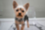 Justin Veenema, Unsplash