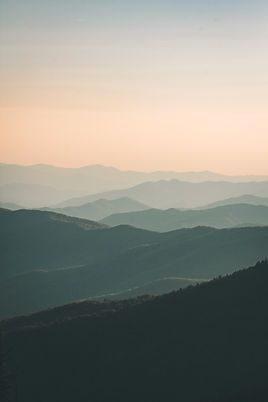 Image by Ivana Cajina