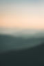 Image by Ivana Cajina