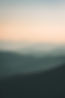 Image by Ivana Cajina