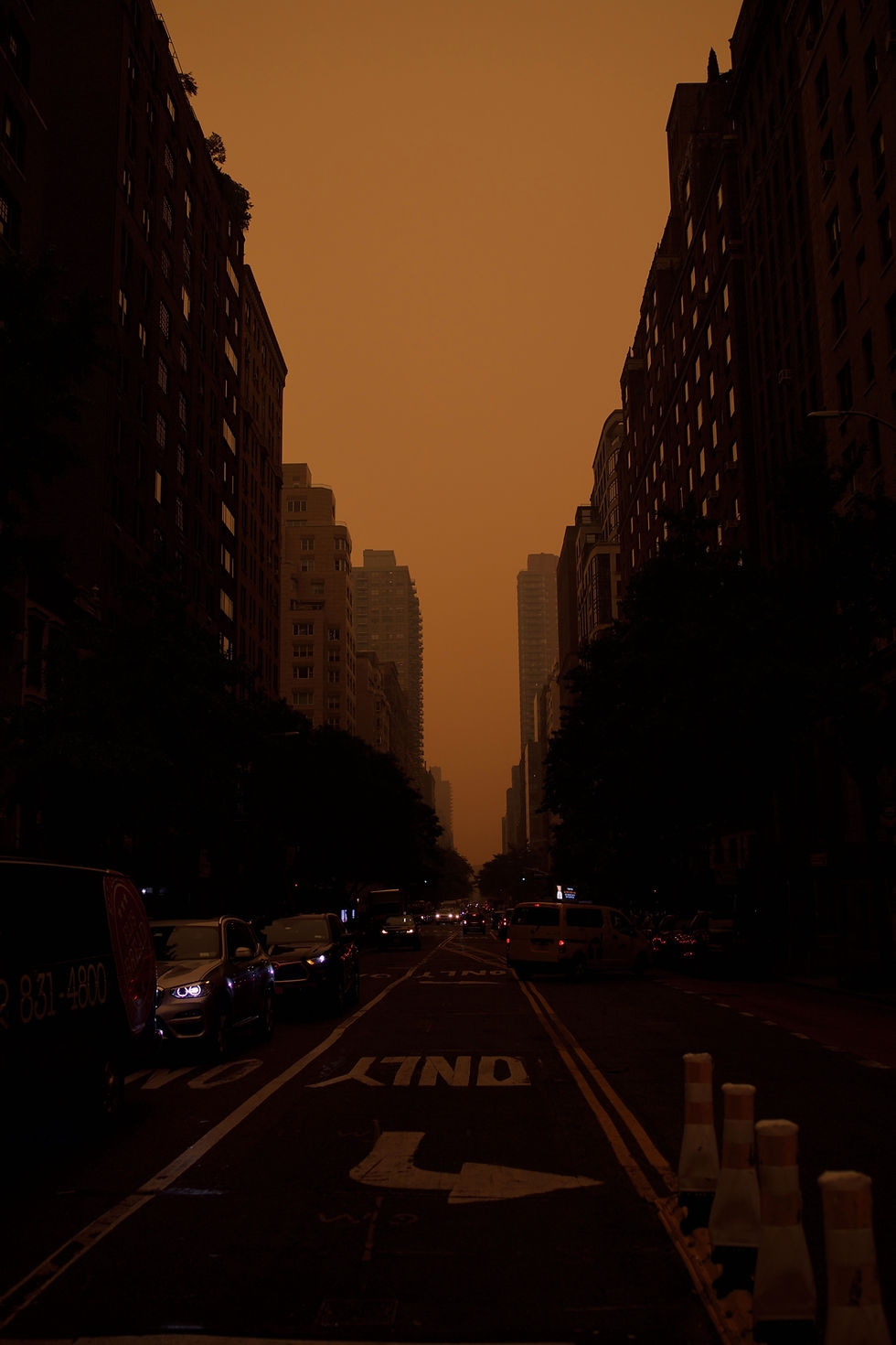 Image by Raphael Lovaski