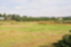 Image by Ken Z
