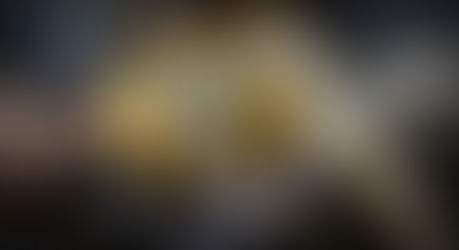 Le Monde Fascinant des Guêpes