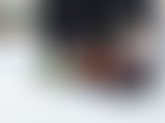 Community group pitches five-year plan to revive Blackstock Arena