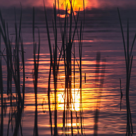 soft embodied light symbolizing physical symptoms without clear cause and soul memory