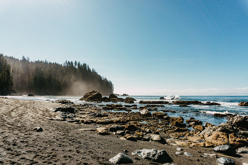 Image by Matt Drenth