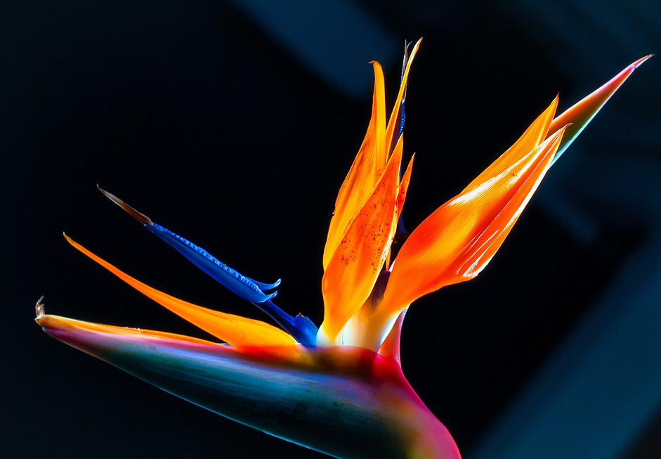 Image by Eastlook Photograpy