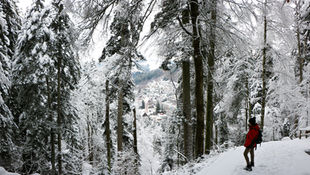 BTFP / ECB opens March pivot, EURO softer / FTC AI inquiry AMZN, MSFT, Alphabet, OpenAI